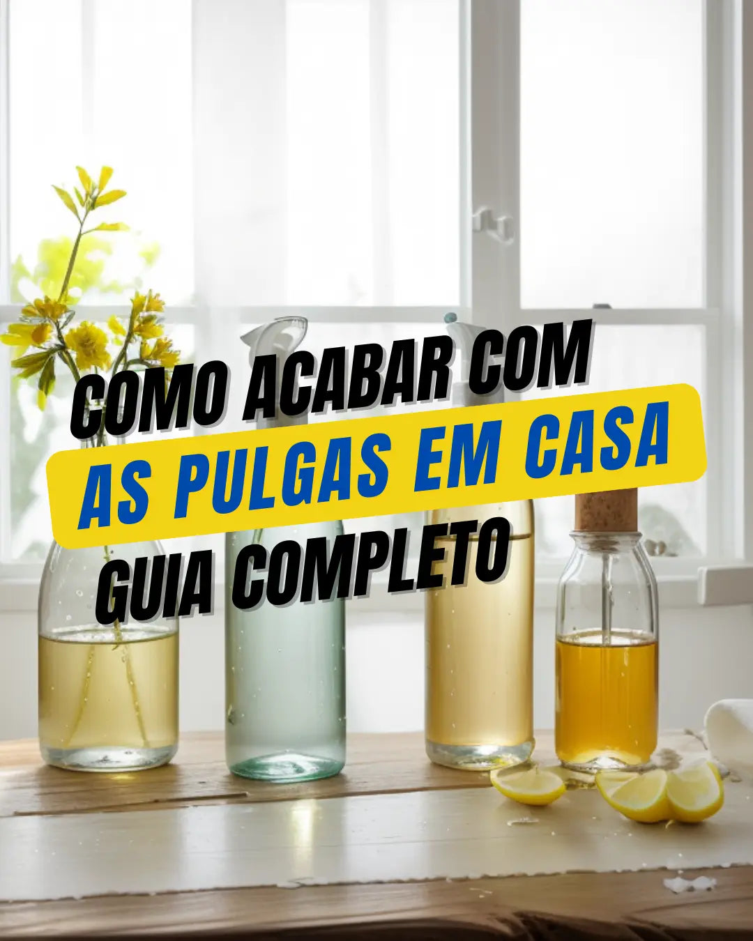 como acabar com as pulgas em casa