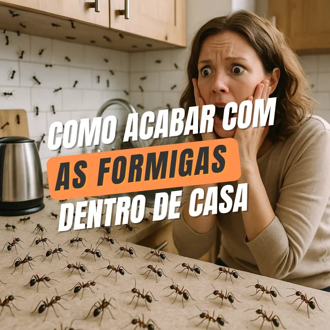 como acabar com formigas dentro de casa