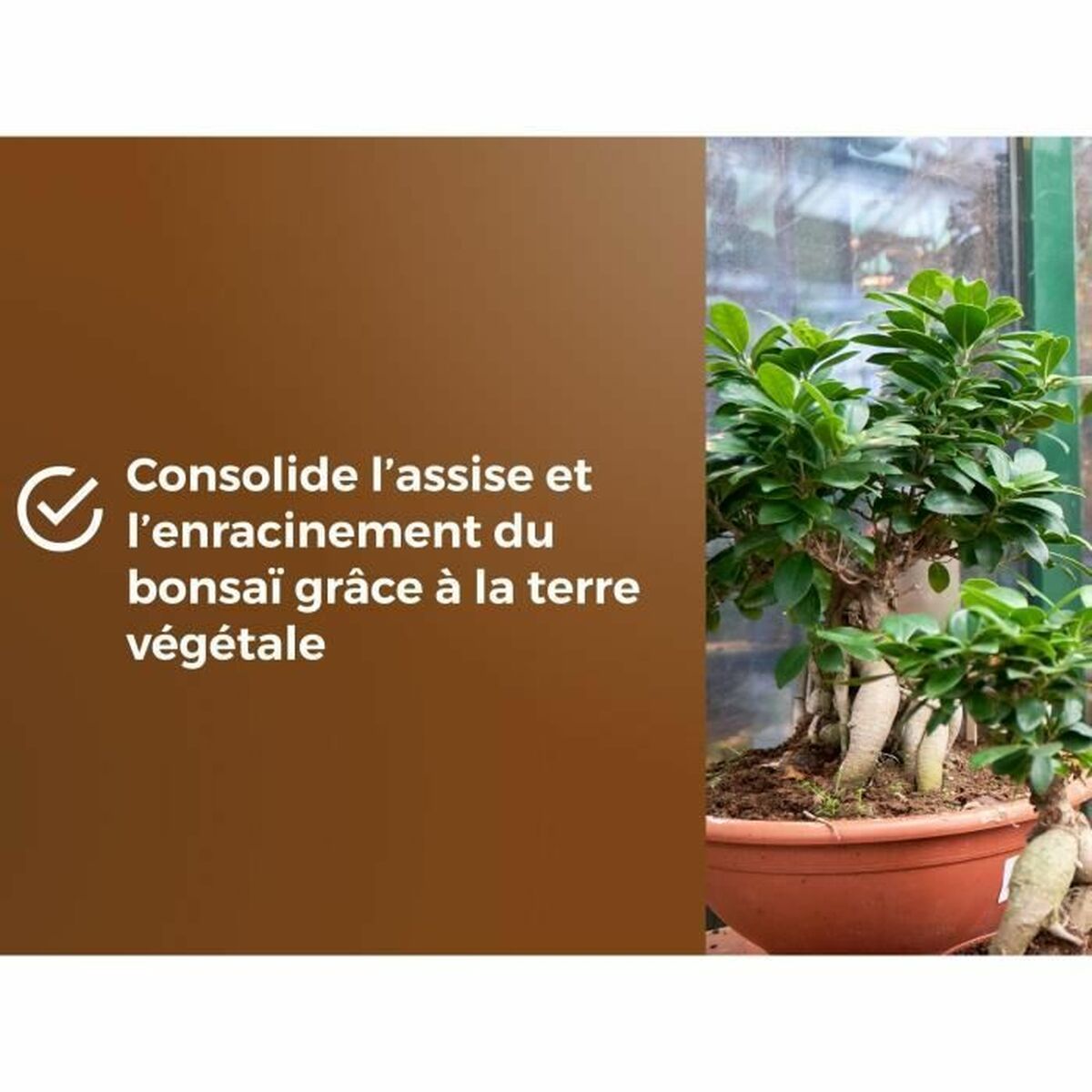 V3H338C5B0C878C1B356285F60ABACE8D01R6736619P6