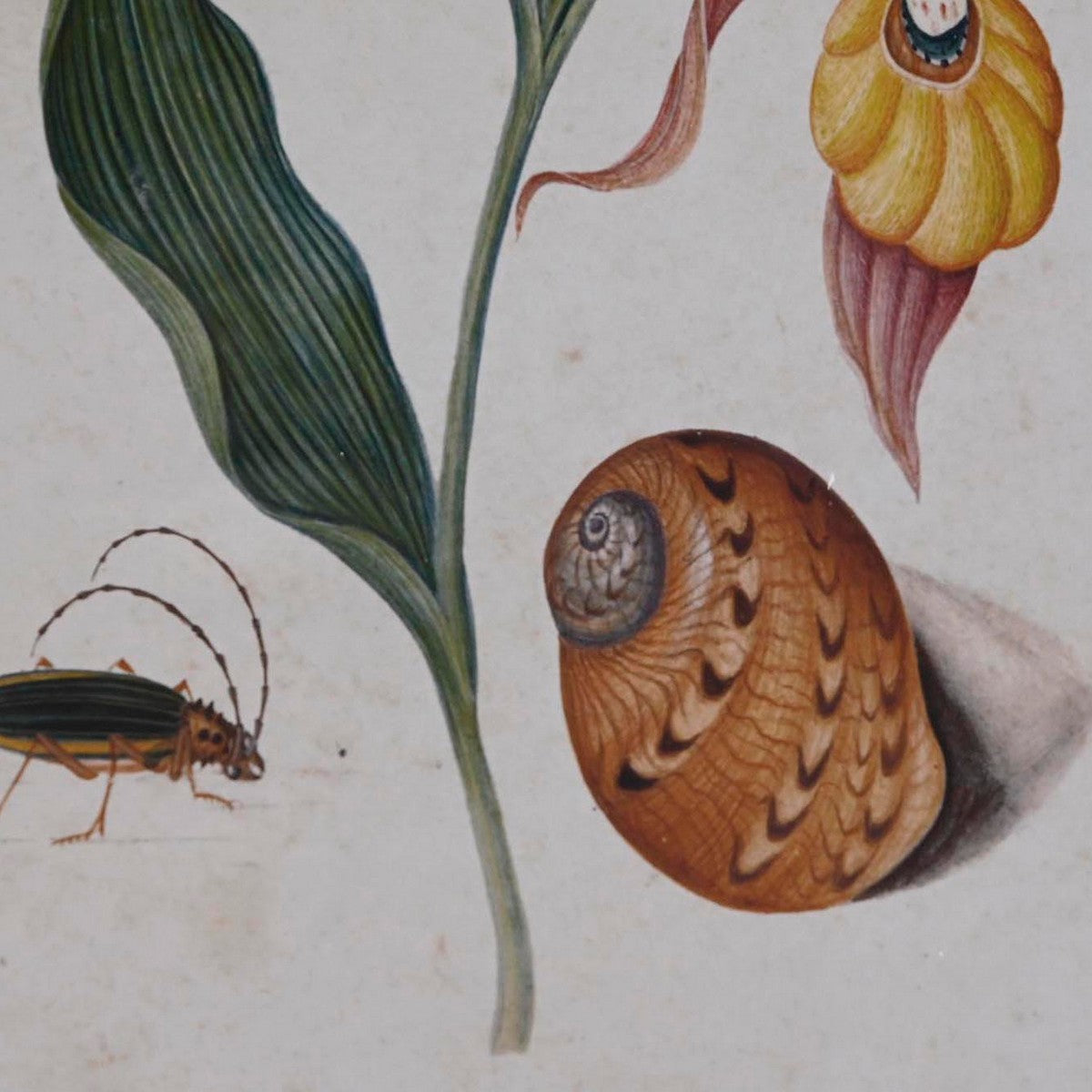 V12HCB316EBA705A96666ED77F68E8CE51A9R6372052P3