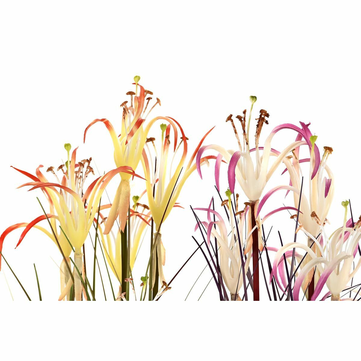 V9HECEFC08C45A7128CB252F24043AD3A5CR6377939P2