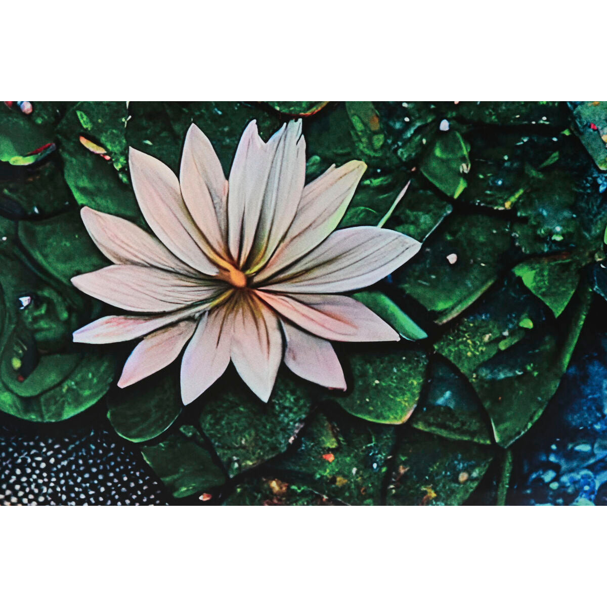 V5HB2619BE10D872E534230A5F0193EBE33R6316465P3