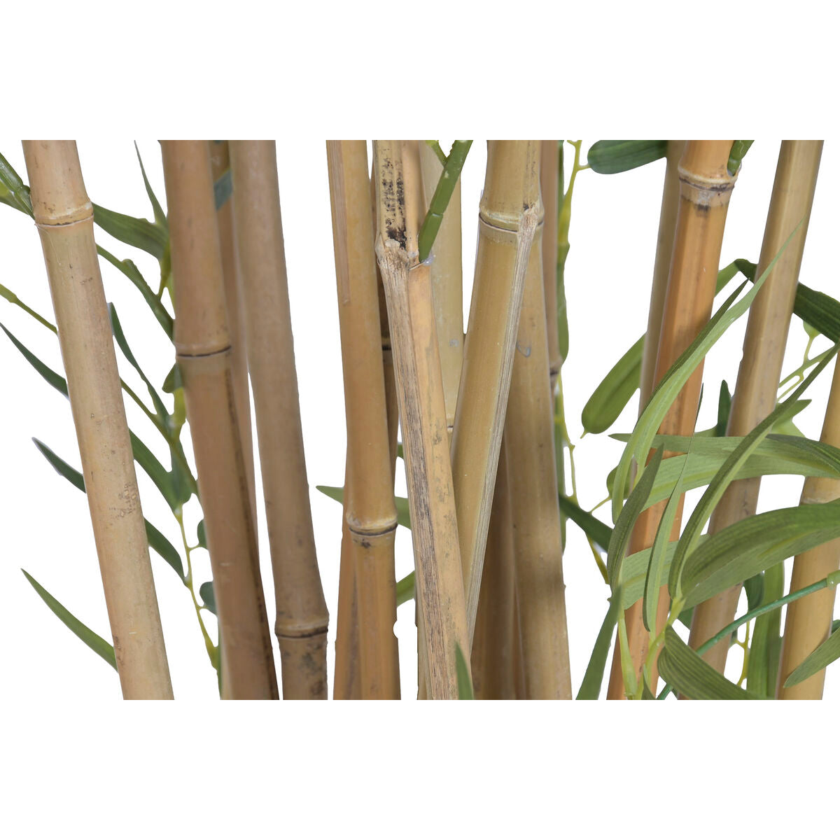 V2H8254A710BBBF4BC38987E0C03A90816ER7813196P4