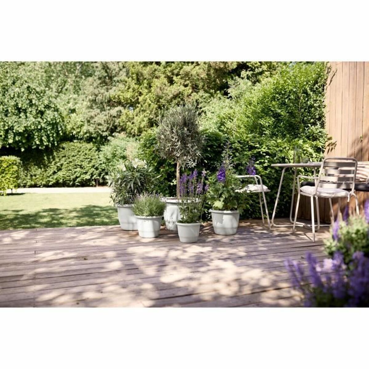 V3HAE9868D594CC1DD74E8E43924AC9F900R5529098P5