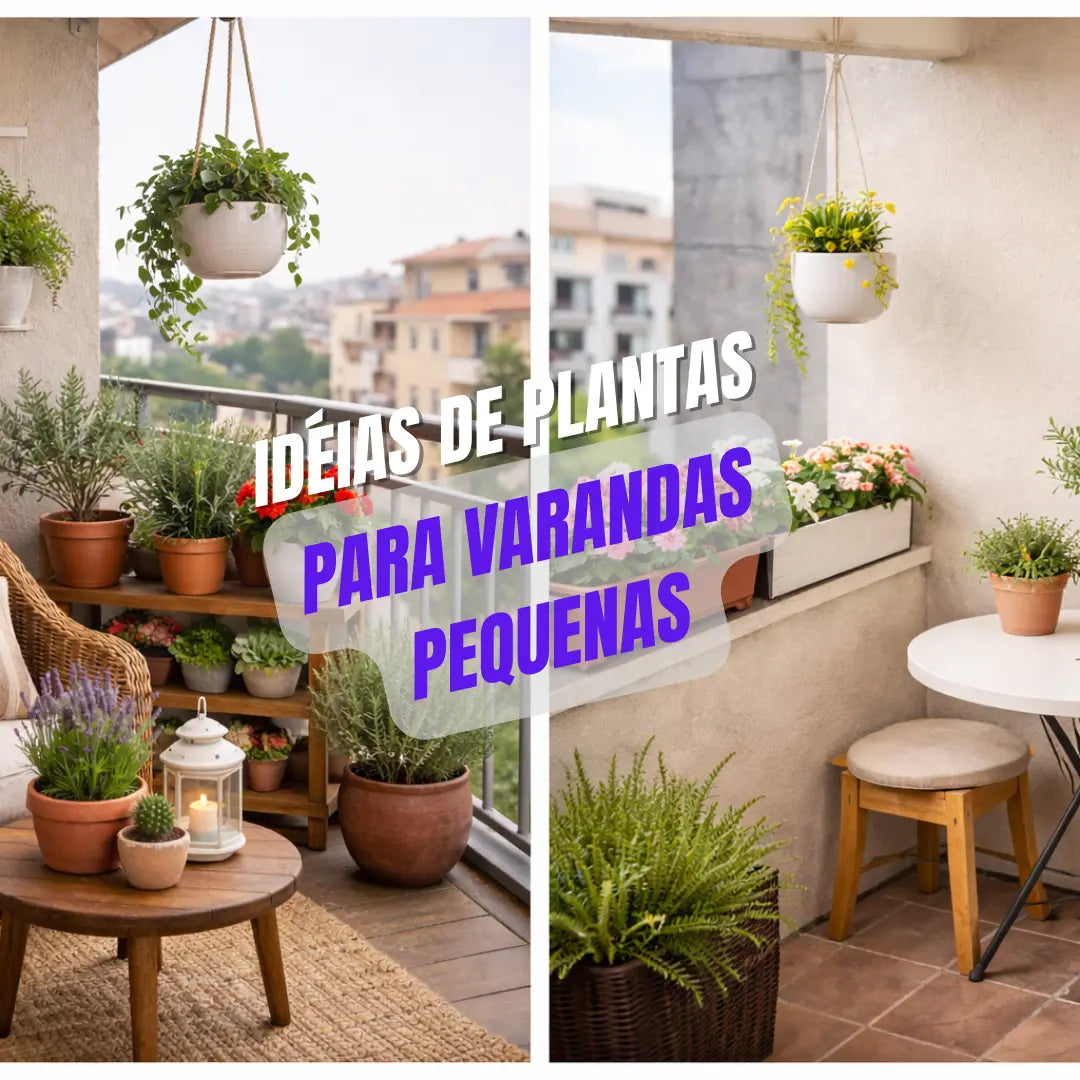 Melhores plantas para varandas pequenas