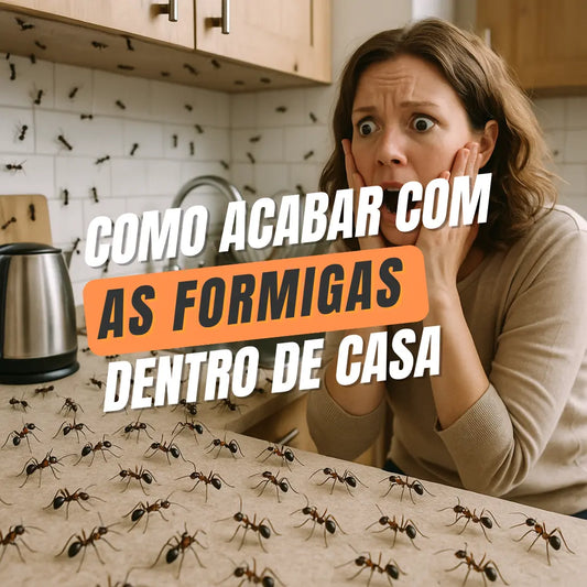 como acabar com formigas dentro de casa
