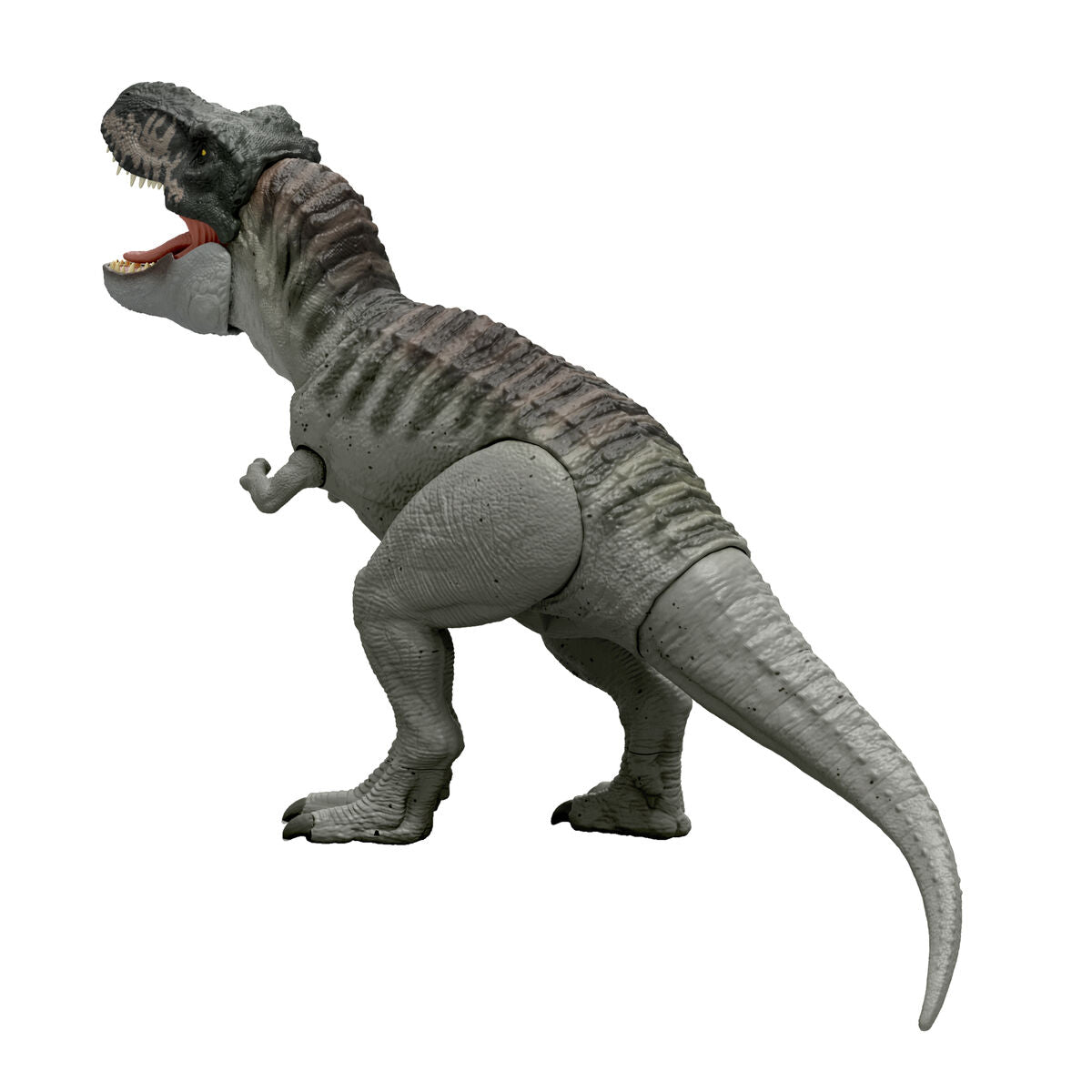 V5H9CF11764FB3F645A21EC40AD8DA58A84R6318398P3