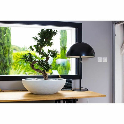 V7H71668CE6FA93236DAD67F0F9F250FD32R3441712P3