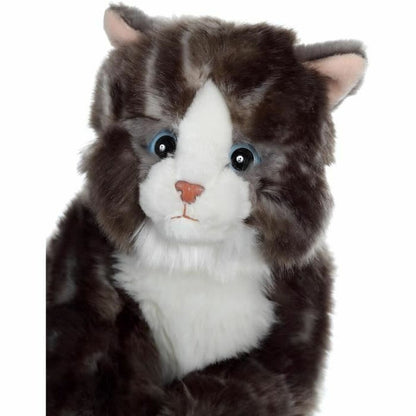 V8H2EE114DDF8980986A468C7C0958299B1R6823294P2