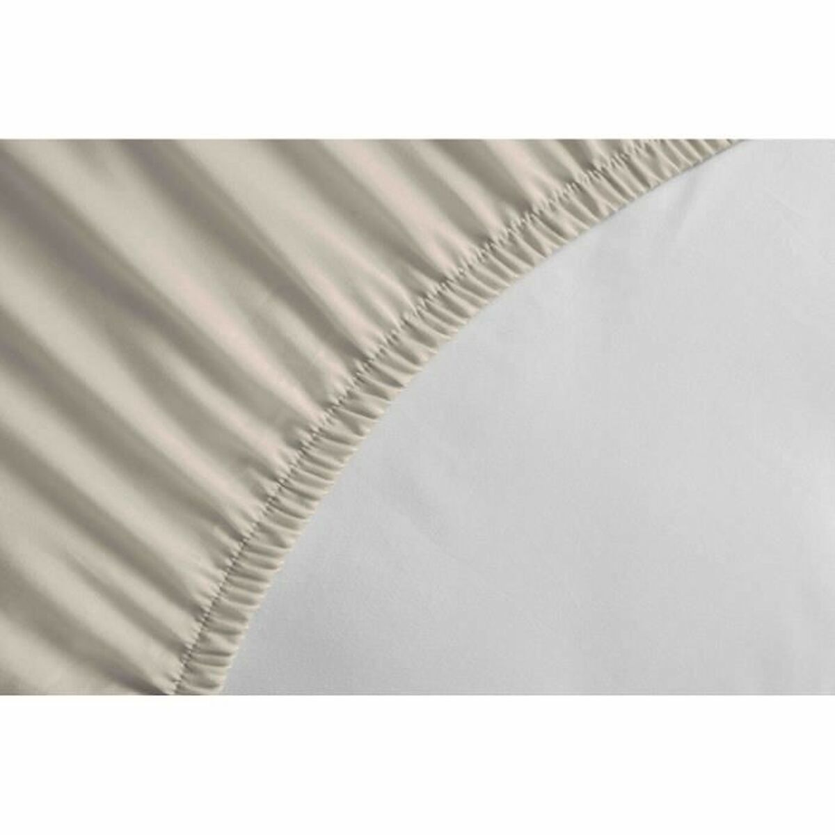V8H158F66F078E56A3390EB5DD754ED31B4R6921089P2