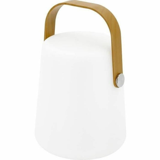 V7H3AC07E6AC1E4C373A0B9044D52F3AFE7R4060569P1