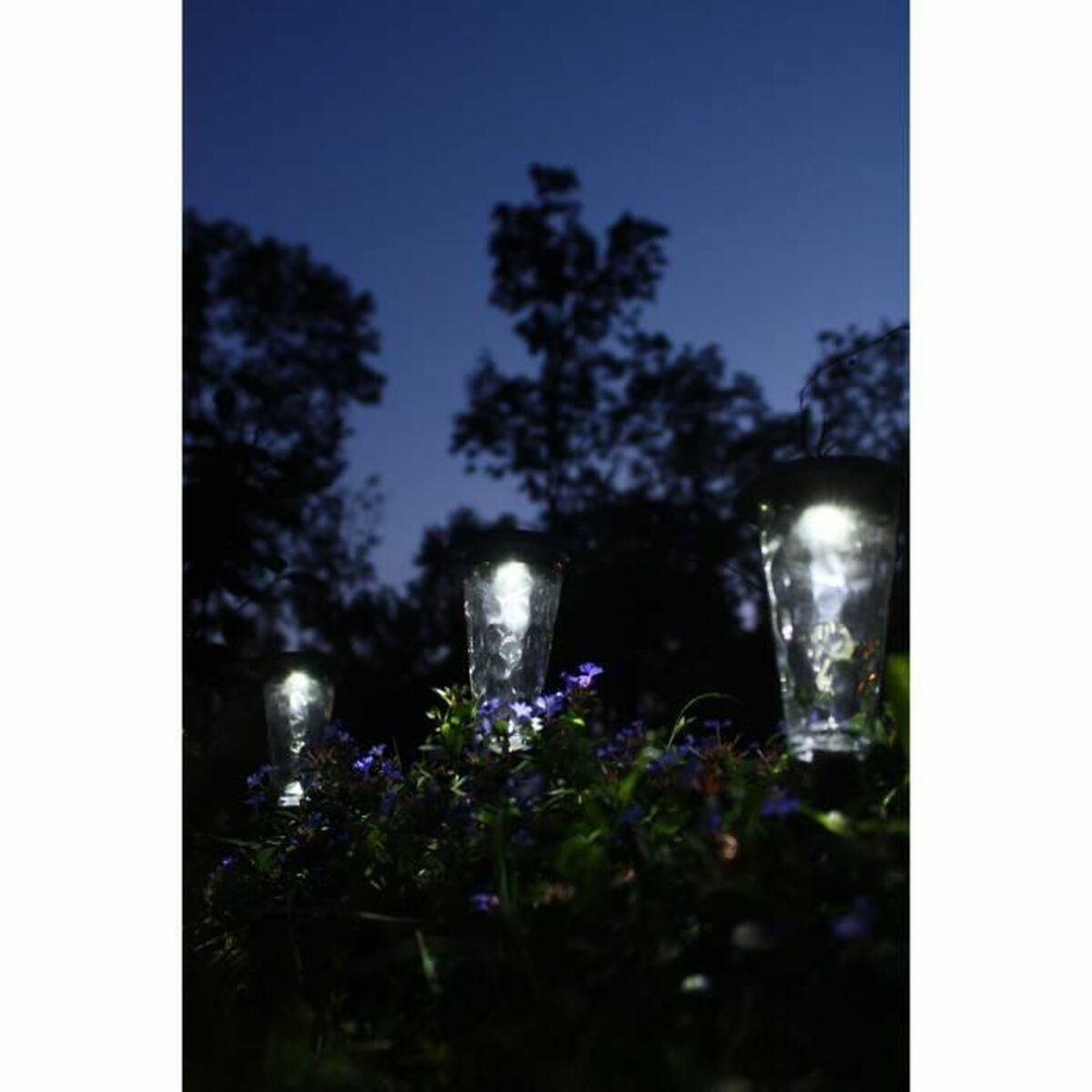 V5HC2355CF37AE51750471F7C2E01F23B3ER5567700P5