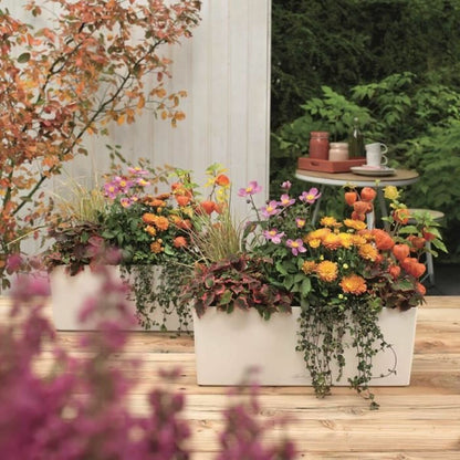 V3H6B24735D8B2724C1C7BDFFD1A8C63915R5837910P7