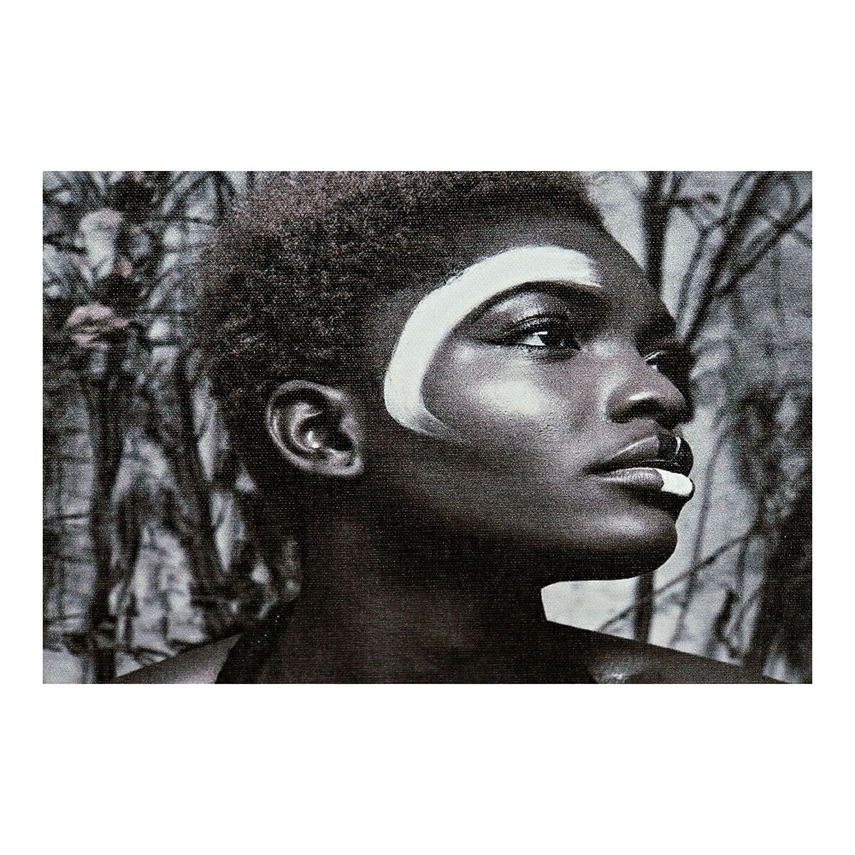 V12HED3E23F65F2B1F4688DFE5BB2E29DD3FR6558035P3