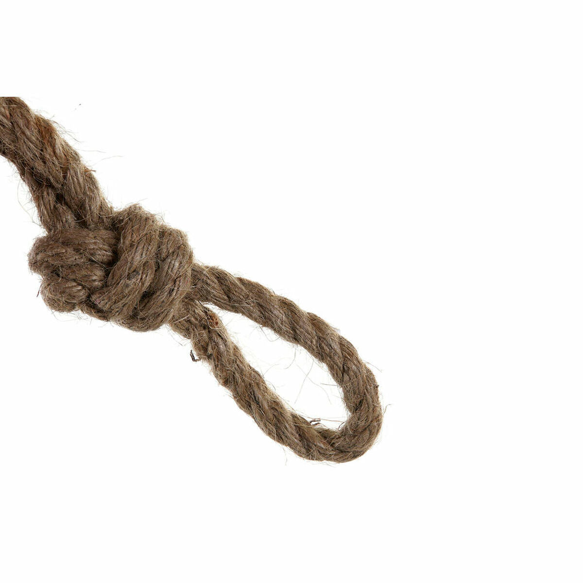 V11H4A5563A94D63168F15720C2287BB5DBBR6556092P2