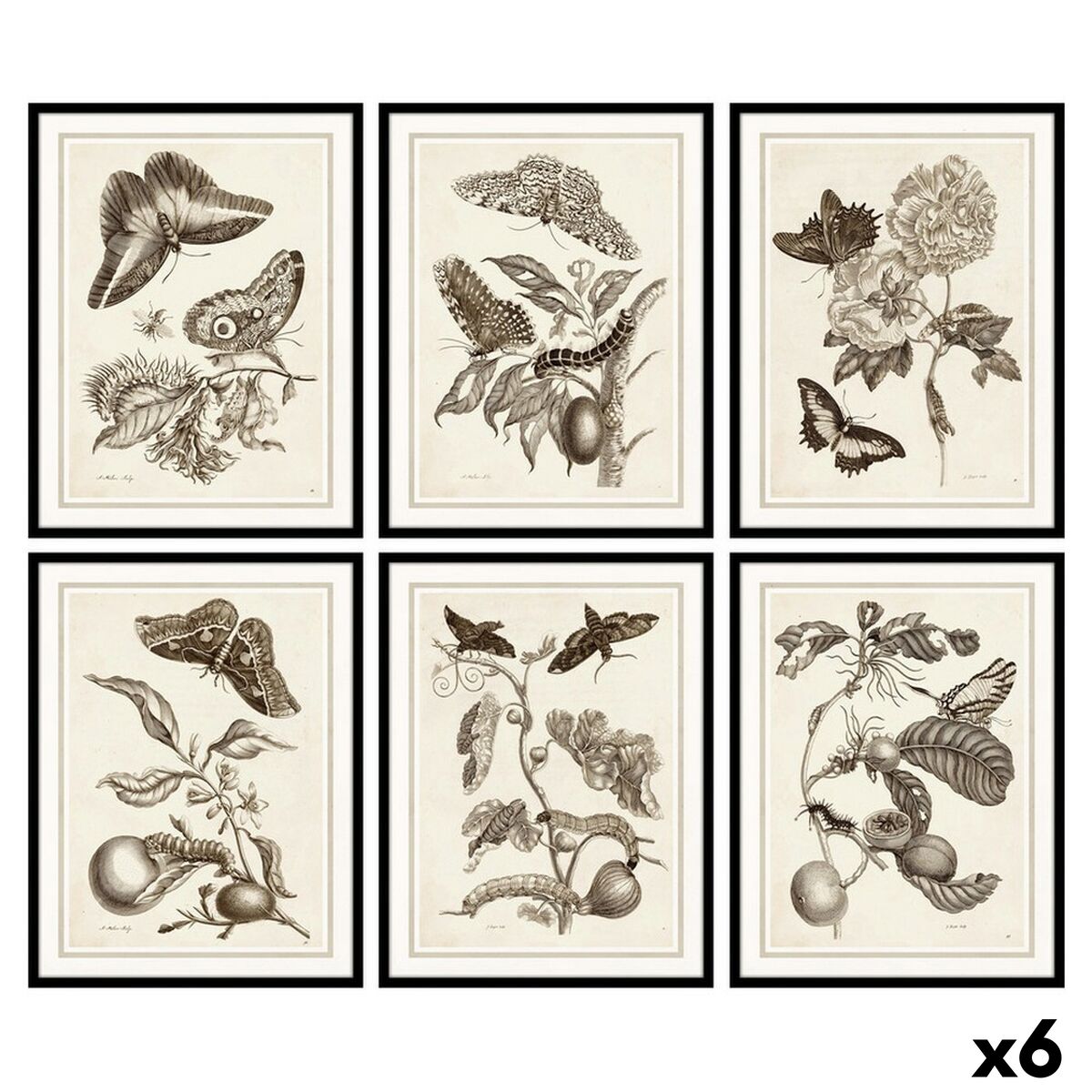 V15H647FB959CE851911847D0A1912AB4BD9R7563313P1