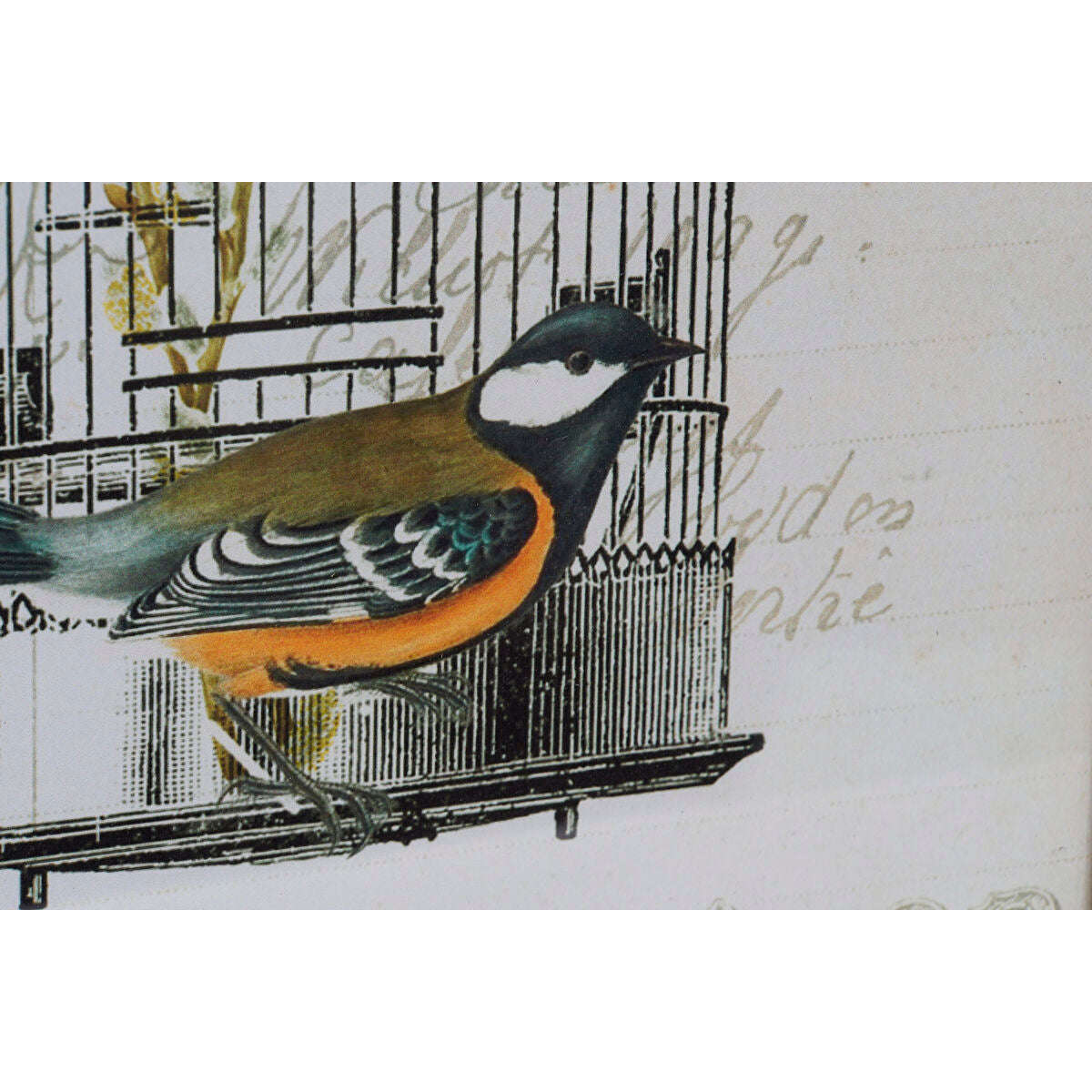 V15H5AEB149C4F18C036A55B35DE5E28E482R6585712P2