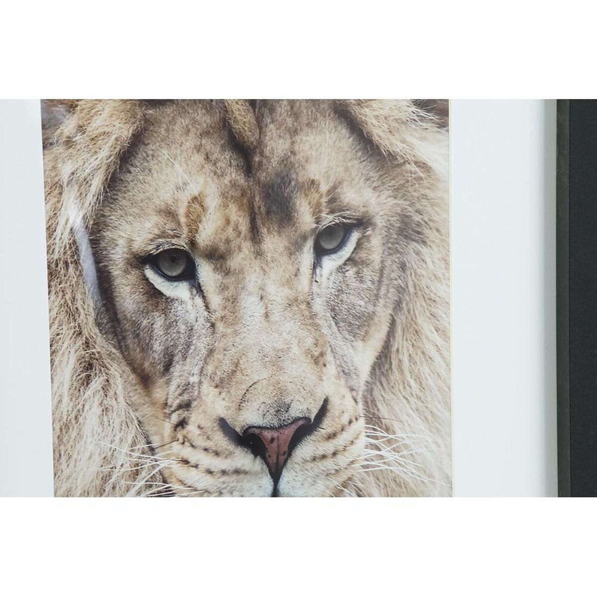 V11H39A1CDABC82176482FAA170CD3BC2FA3R6374200P2