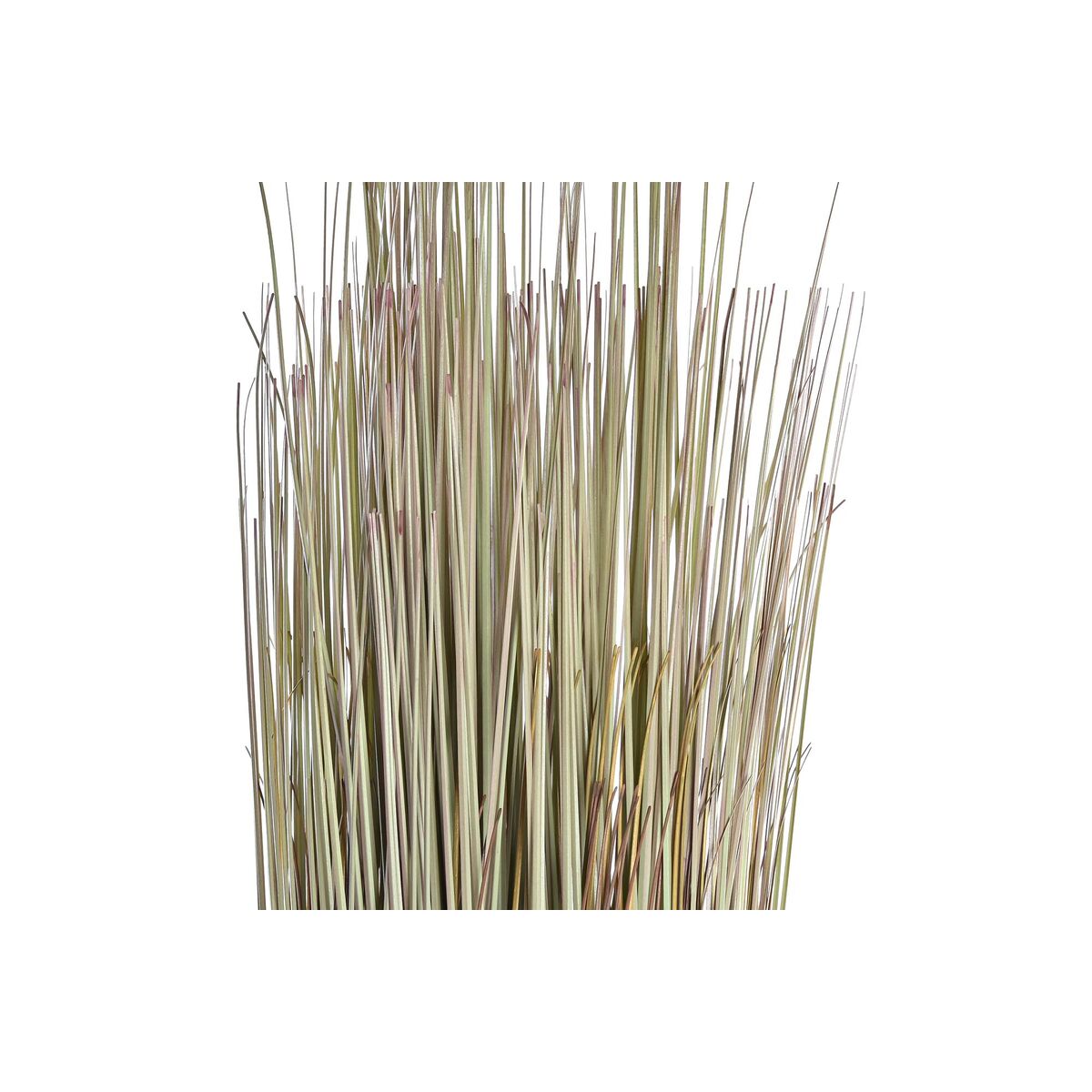 V12H19CD79C0C6FF955D1B78CA4874F9D464R6374948P2