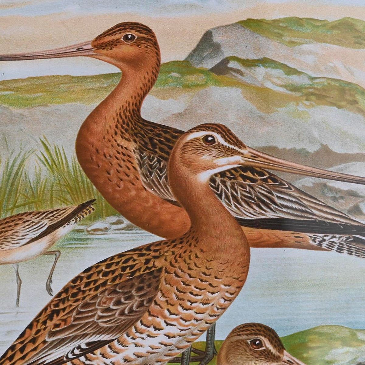 V9HC8A5FC5F3D2B0E6254070CD040FF5566R6372577P3