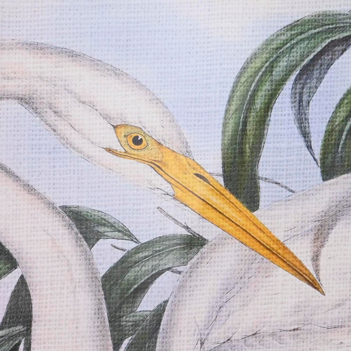 V12HF1D53B564F3B6131FA6561A9693D2333R6372341P3