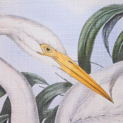 V12HF1D53B564F3B6131FA6561A9693D2333R6372341P3