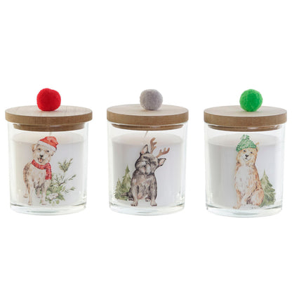 V6H298508C60BAC8CE9882BFCF067C7459BR7431966P3