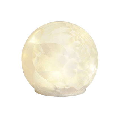 V5H4FB5602FDA7DCBE48FB4358FEC4C5057R7399128P4