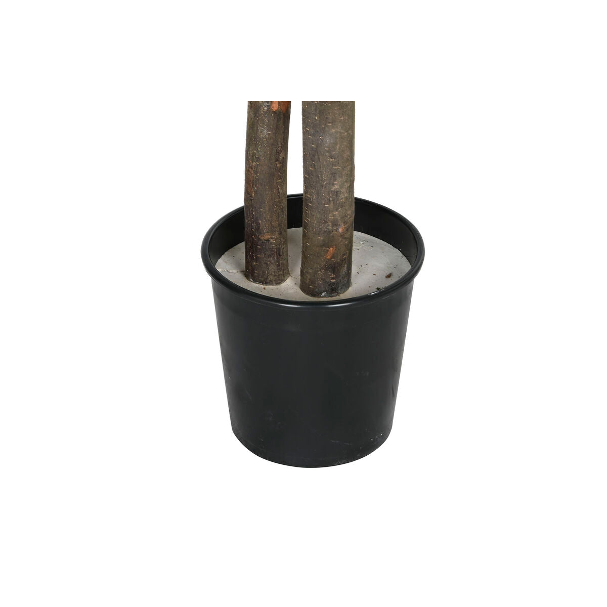 V10H60F8A9BB69988747F5E87C145980A4D6R6381729P4