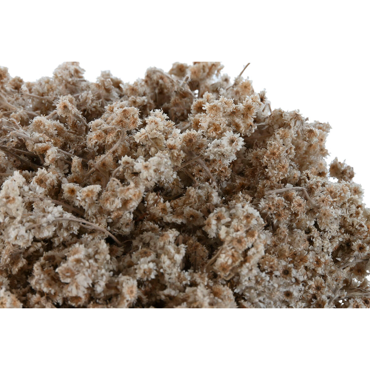 V5HF531E843DE66D958AC479A802C19BFCER4456792P2