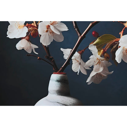 V8H10F52A2BBBDF96DE2B72CADB8099C813R7092423P4