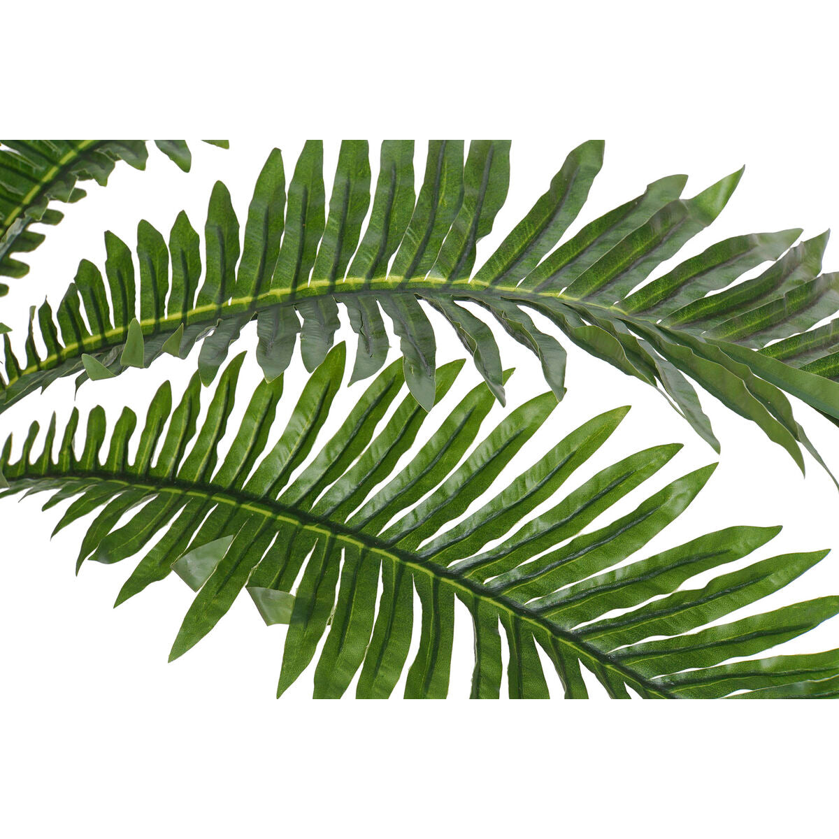 V5H4FC363CD18A5D7087DE91047D067936DR5472557P2