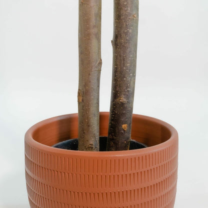 V7H9AC2A5AB66C9D0FDB3DF984A5297E881R6382094P2