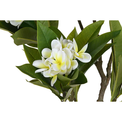 V4H0799B77D896F50EFE941F293E8B1B4EAR5676124P2