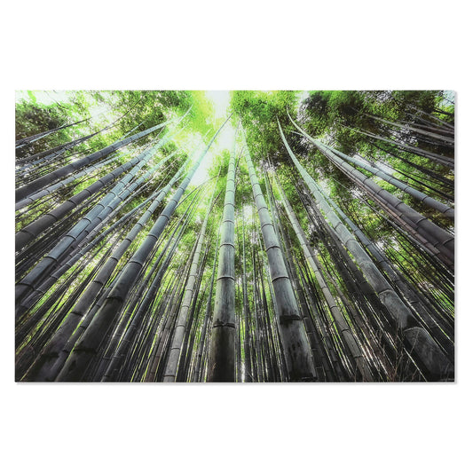 V6HE3A1B56DB1336861D394C81D714474F7R6373237P1