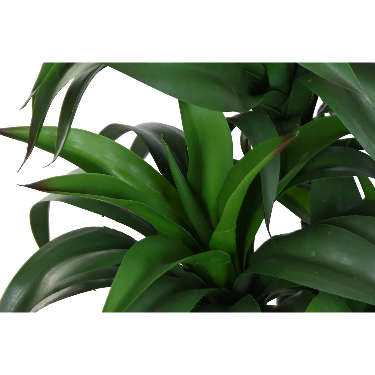 V4H03933FD5B2C4C1F4E23B75938E26520CR5934475P2