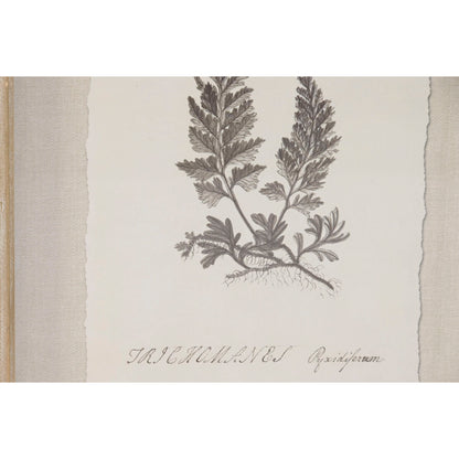 V3HD50A711DD2AF01BEE72040435CFD4CE6R7430172P3