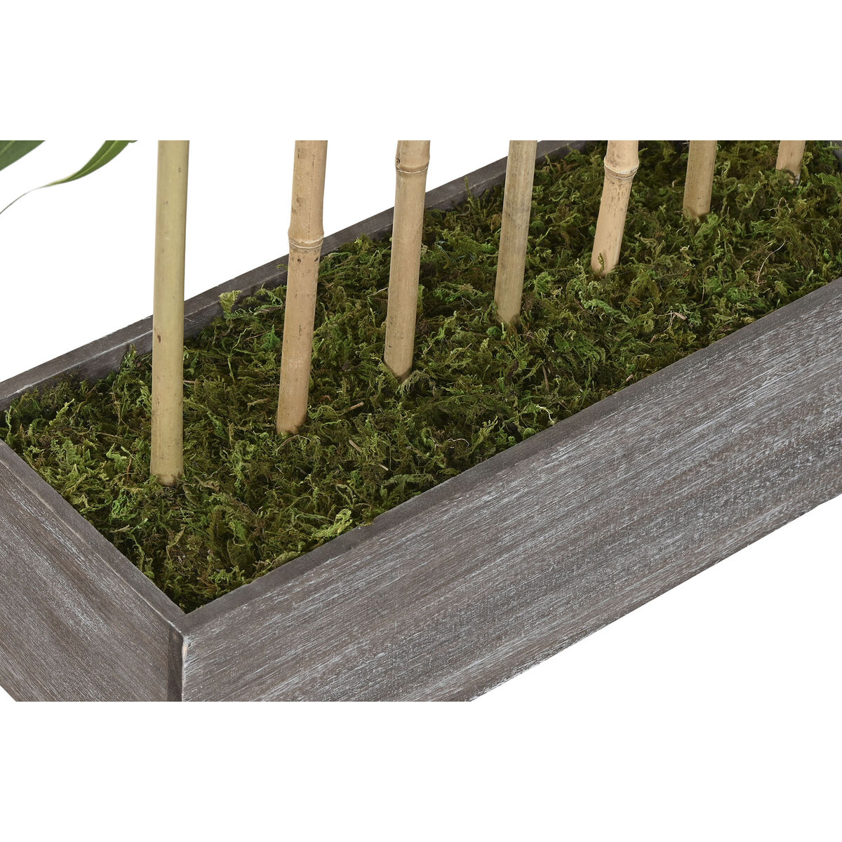 V4HE1E906FEB9C0809CE4180B2D805CA7F7R7521818P4