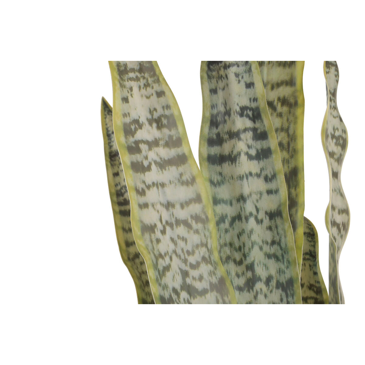 V3H4A2AF03675099B14F983E19029393B32R7521809P4