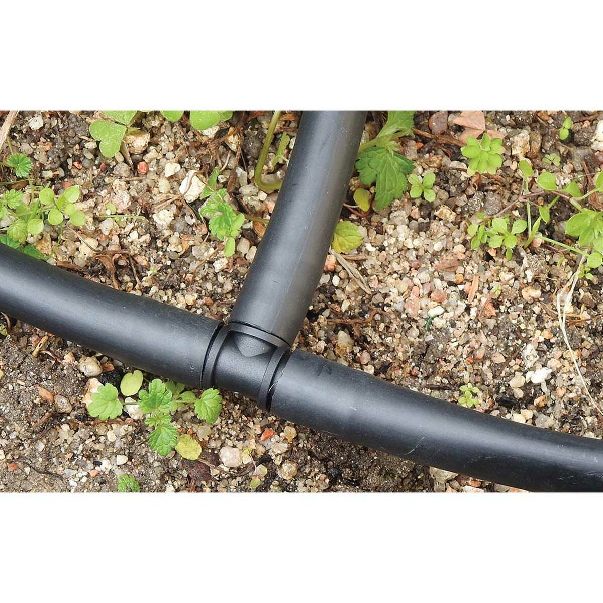 V5HE871BEE1CBB1E54021CC7890F58E826CR4488925P3