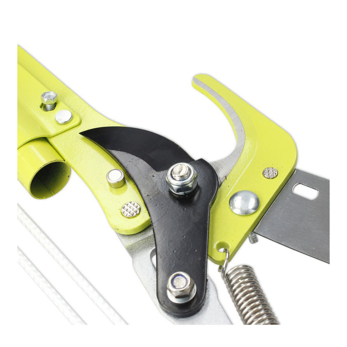 V11H88D805B1C3913458B4C661371282AE20R3433036P5