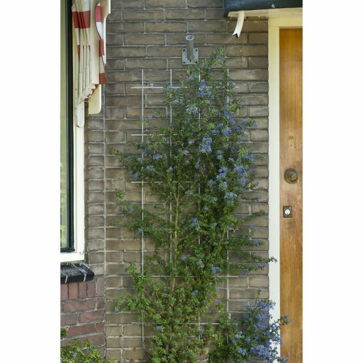 V8HD6C4949E70F7D948D0341FB5B249BF18R7321275P3