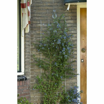 V8HD6C4949E70F7D948D0341FB5B249BF18R7321275P3