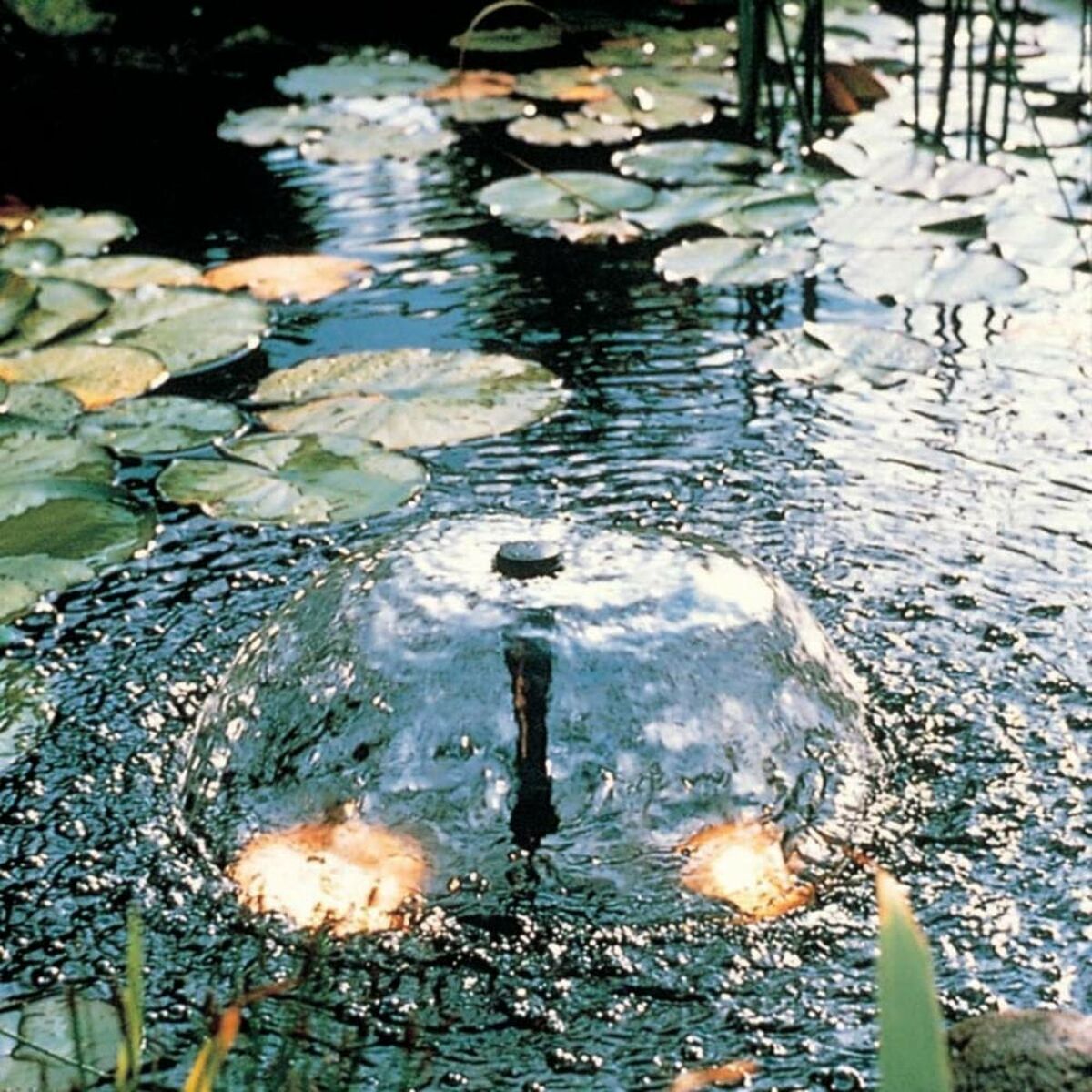 V8HFB0D2E6D190BBF034BDE5D4BCA479FD6R6468774P5