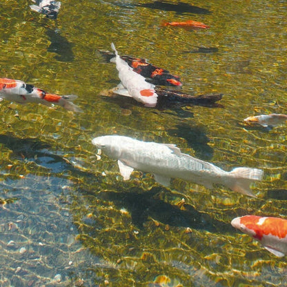 V6H80952D7688CF42E1EBA1CB467CEAC0C8R4095173P4