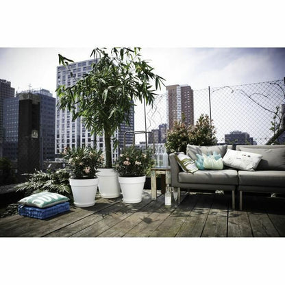 V7H3A34DDF349040883E478EB90D6059850R3441105P2