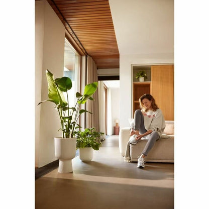 V5HF9D8B99323A846E549483C3E6E777A2BR6889052P6