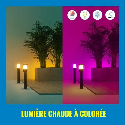 V5H0754EF8D26C78717BACAB0732DAEDD83R4494665P3