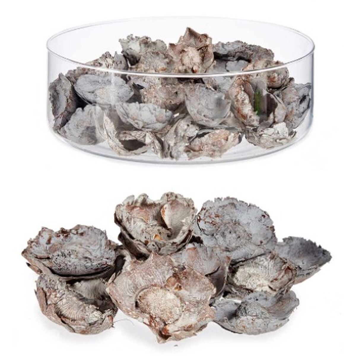 V11HB881BA24FF23FC1B497861117249CAD0R7264622P2