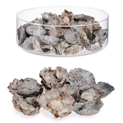 V11HB881BA24FF23FC1B497861117249CAD0R7264622P2